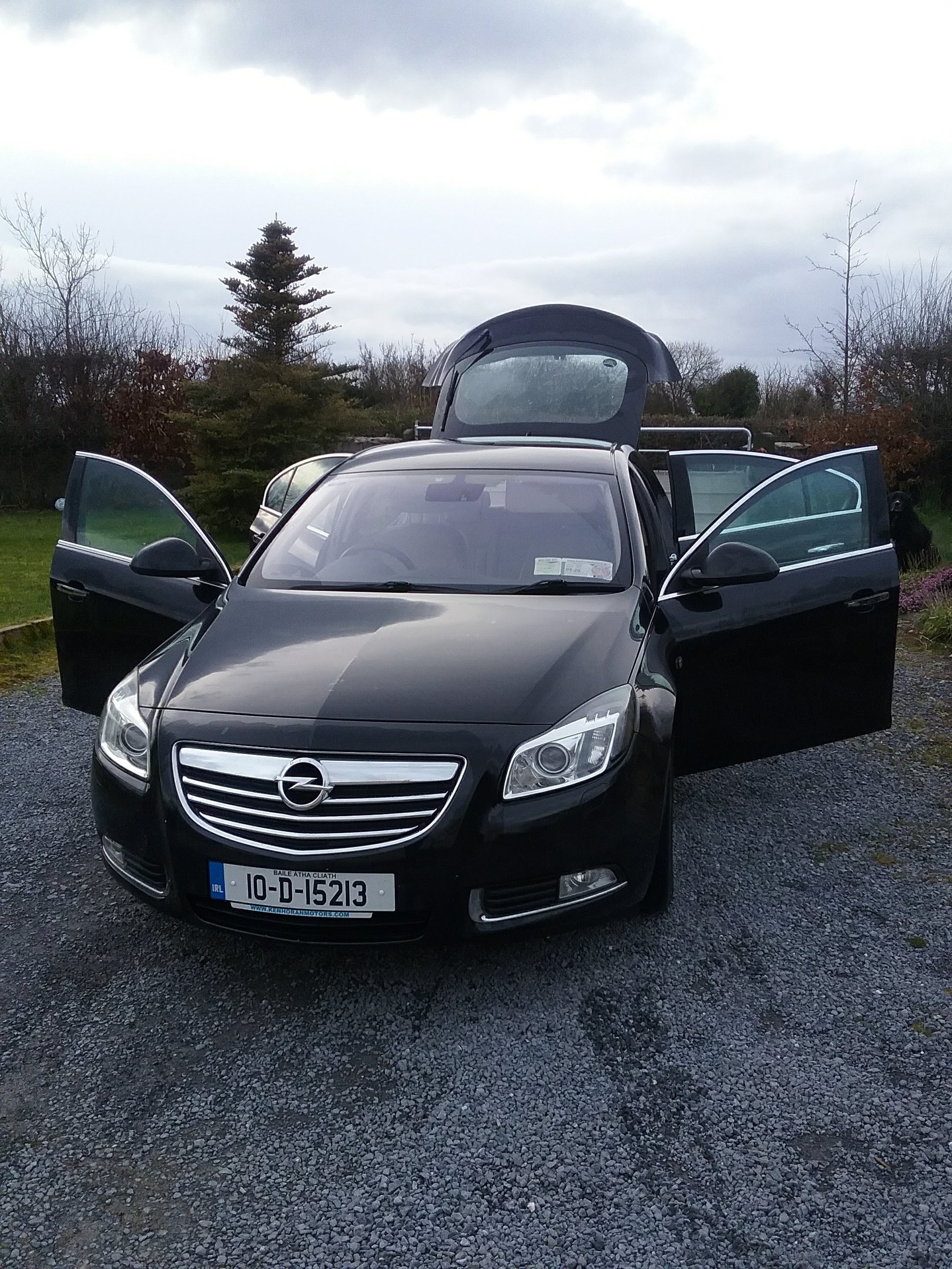 Used Opel Insignia Elite 2010 in Galway